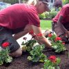 Cultivate Success: Unlocking the Secrets of Commercial Landscaping