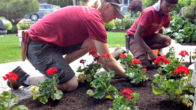 Cultivate Success: Unlocking the Secrets of Commercial Landscaping