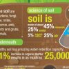 The Green Thumb’s Guide to Thriving with Organic Soils