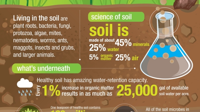 The Green Thumb’s Guide to Thriving with Organic Soils