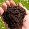 Unleashing the Power of Organic Soils and Fertilizers: A Green Thumb’s Guide