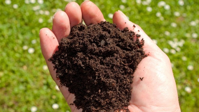 Unleashing the Power of Organic Soils and Fertilizers: A Green Thumb’s Guide