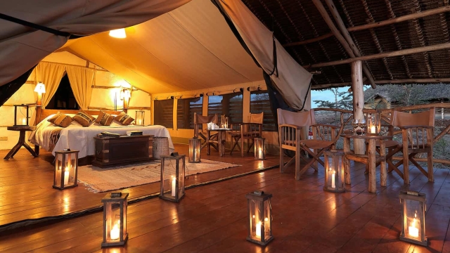 Unleashing the Wilderness: Embarking on a Luxurious Safari Adventure