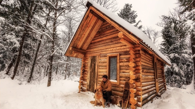 Crafting Wooden Dreams: Unveiling the art of Log Home Building