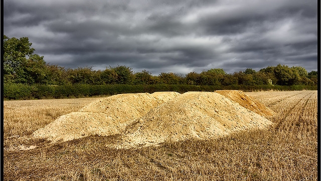 The Secrets of Thriving Gardens: Unlocking the Power of Organic Soil