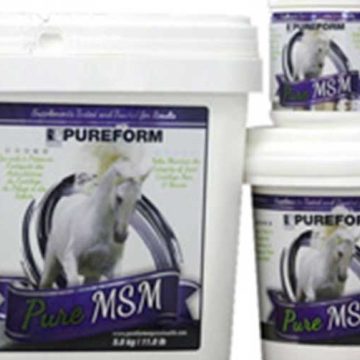 The Power of Equine Wellness: Unveiling the Benefits of Horse Health Supplements