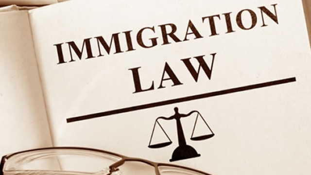 Unlocking the Maze: Navigating the Path of Immigration Law