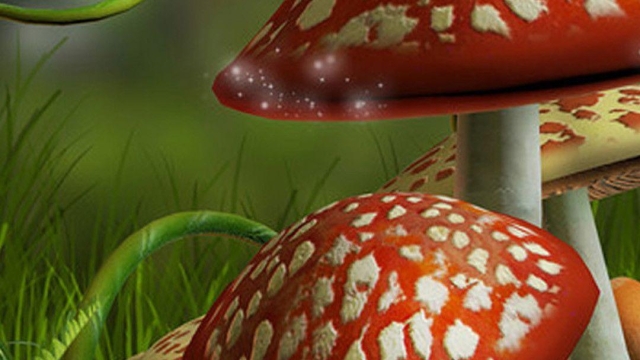 Fungi Farmers: Unlocking the Secrets of Mushroom Cultivation