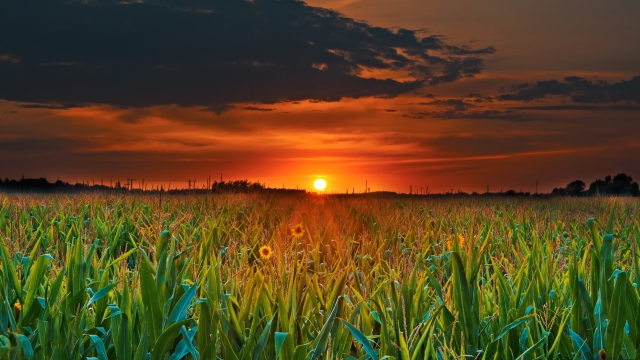 Seaside Growths: Exploring the Beauty and Bounty of Coastal Farming