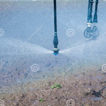 Sprinkler Maintenance 101: Keep Your Lawn Hydrated and Healthy!