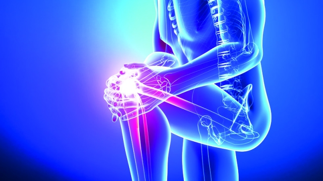 Bones, Joints, and Beyond: Navigating the World of Orthopedics