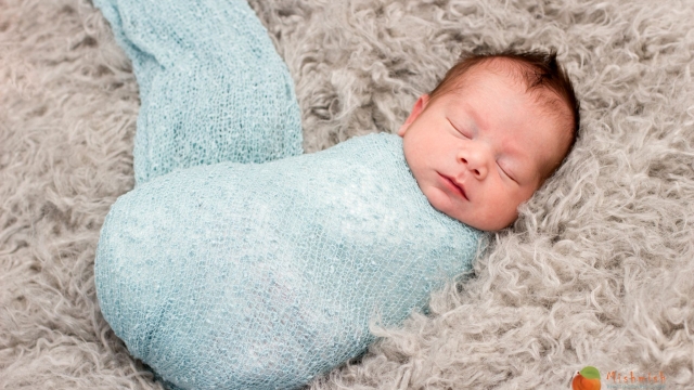 Capturing Innocence: The Art of Newborn Photography