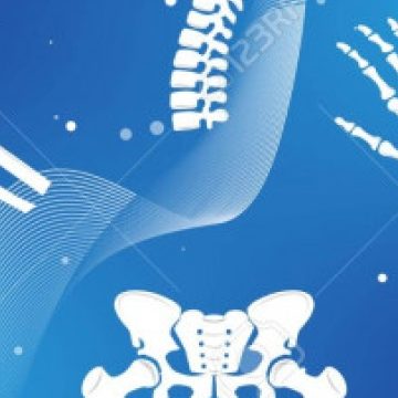 Stronger Bones, Better Joints: Exploring the World of Orthopedics