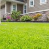 The Ultimate Guide to a Lush and Healthy Lawn