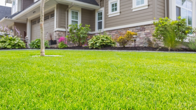 The Ultimate Guide to a Lush and Healthy Lawn