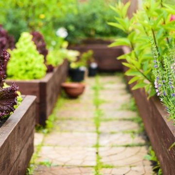 10 Inspiring Garden Bed Ideas for Every Home