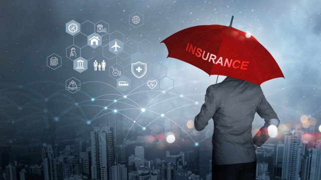 Ensuring Your Peace of Mind: A Guide to Navigating the World of Insurance