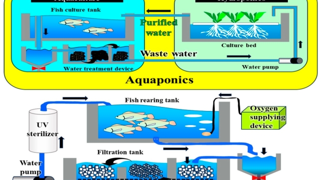 Revolutionizing the Waves: The Future of Aquaculture Technology