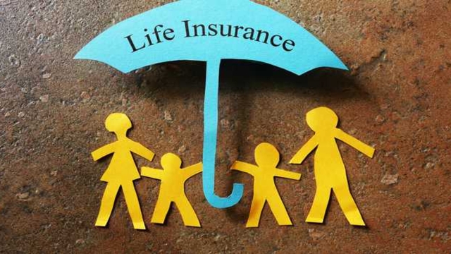 Unpacking Insurance: Your Lifeline to Peace of Mind