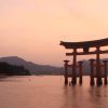 Whispers of the Ancients: Discovering the Enchantment of Shinto Shrines in Japan