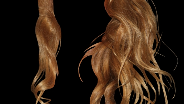 Transform Your Tresses: Discover Langley’s Hidden Hair Salon Gems!