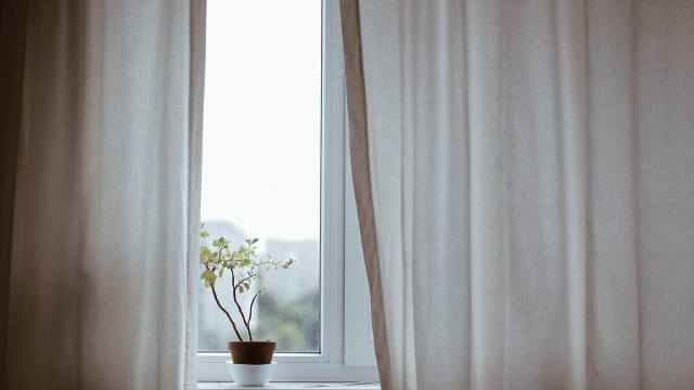 The Role of Professional Cleaners