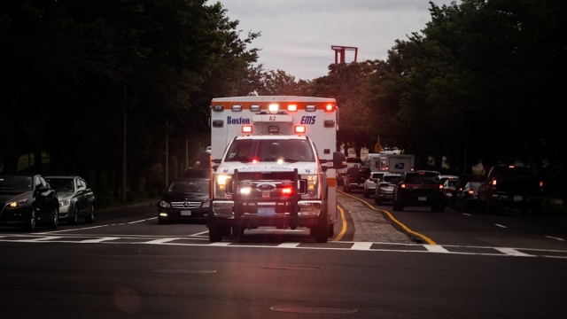 Understanding Wellness Transport Services When considering